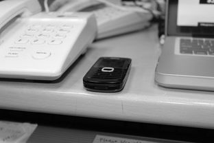 九游官网入口充值-技术数据揭示冠军转身平均仅0.65秒，冠军转盘